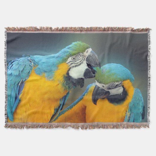 Macaws in love decke (Vorderseite)