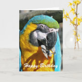 MACAWS KARTE (Gelbe Blume)