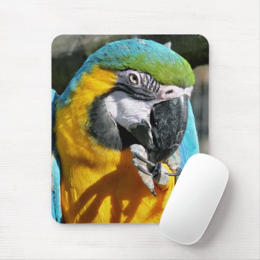 MACAWS MOUSEPAD (Mit Mouse)