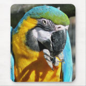 MACAWS MOUSEPAD (Vorne)