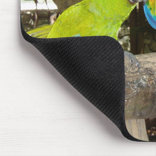 Macaws Mousepad (Ecke)