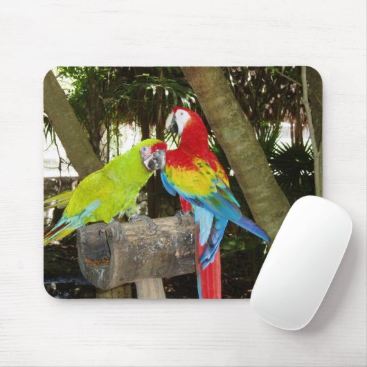 Macaws Mousepad (Mit Mouse)