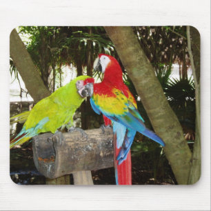 Macaws Mousepad