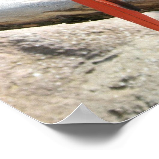 Macaws Poster (Ecke)