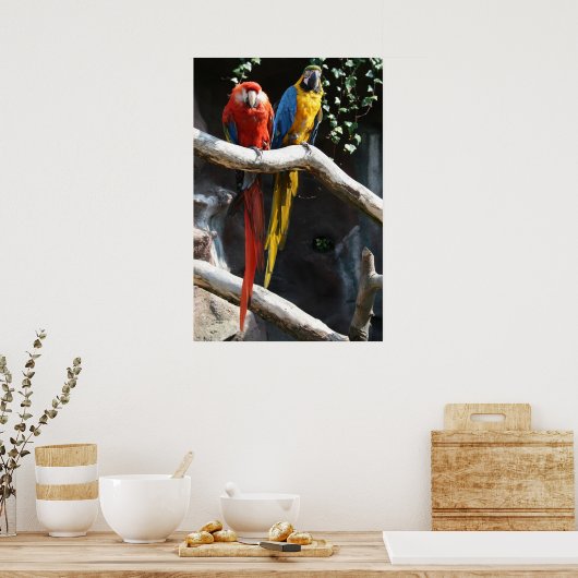 Macaws Poster (Küche)