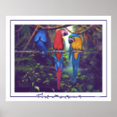 Macaws - Poster (Vorne)
