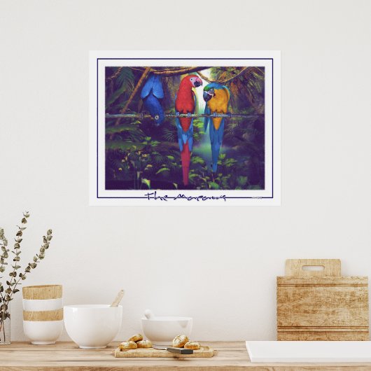 Macaws - Poster (Küche)