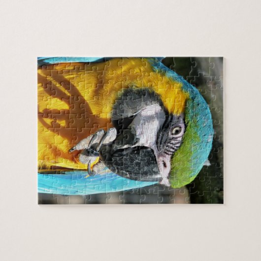 MACAWS PUZZLE (Horizontal)