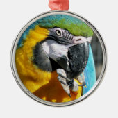 MACAWS SILBERNES ORNAMENT (Vorne)