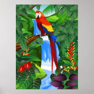 Macawvogelillustration Poster