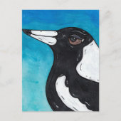 Macca the Magpie Postkarte (Vorderseite)