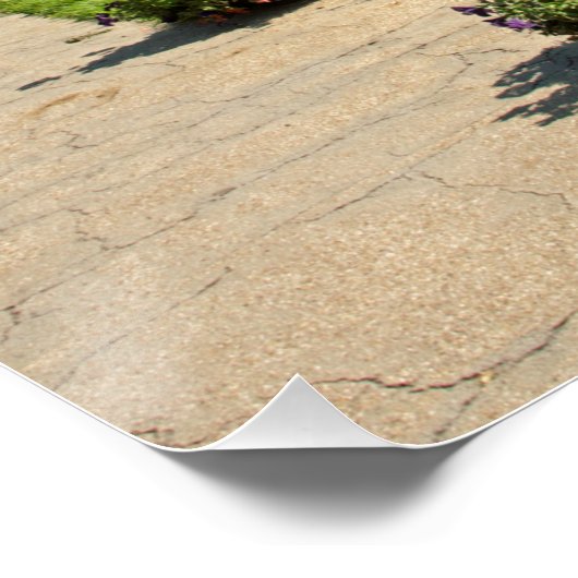 Macclesfield Canal Higher Poynton Cheshire Poster (Ecke)