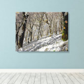 Macclesfield Forest Winter Card Akrobielle Printwe Leinwanddruck (Insitu (Holzboden))