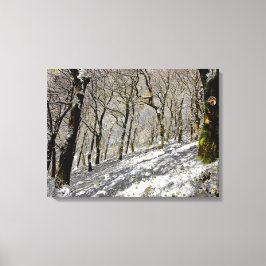 Macclesfield Forest Winter Card Akrobielle Printwe Leinwanddruck