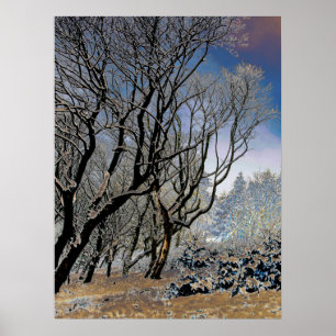 Macclesfield Forest Winter Card Akrobielle Printwe Poster