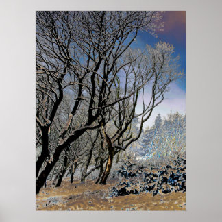 Macclesfield Forest Winter Card Akrobielle Printwe Poster