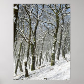 Macclesfield Forest Winter Card Canvas Print Poster (Vorne)