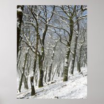 Macclesfield Forest Winter Card Canvas Print