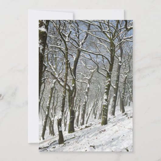 Macclesfield Forest Winter Card Dankeskarte (Vorderseite)
