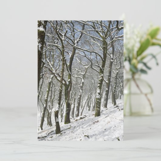 Macclesfield Forest Winter Card Dankeskarte (Stehend Vorderseite)