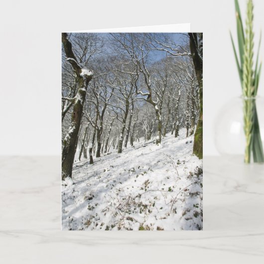 Macclesfield Forest Winter Card Karte (Vorderseite)