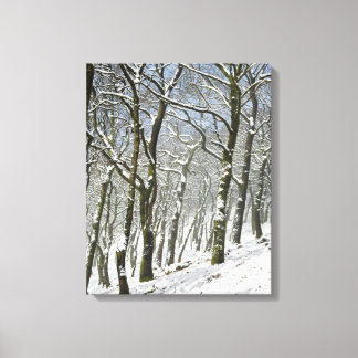 Macclesfield Forest Winter Card Leinwanddruck