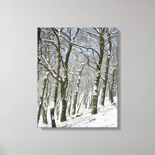 Macclesfield Forest Winter Card Leinwanddruck (Vorderseite)