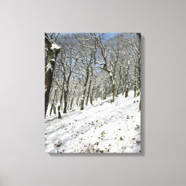 Macclesfield Forest Winter Card Leinwanddruck