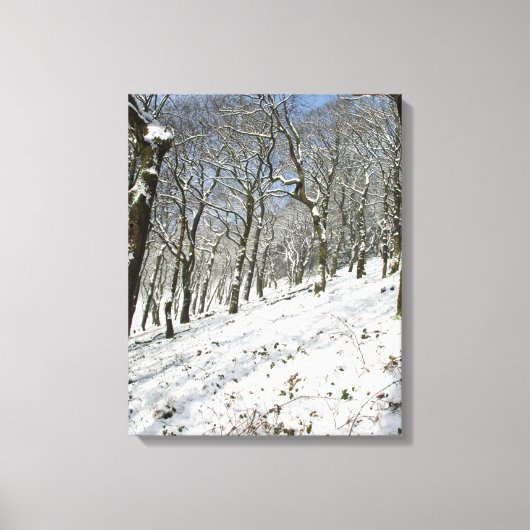 Macclesfield Forest Winter Card Leinwanddruck (Vorderseite)