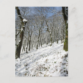 Macclesfield Forest Winter Card Postkarte