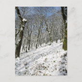 Macclesfield Forest Winter Card Postkarte (Vorderseite)