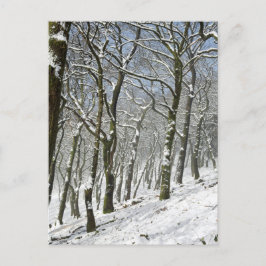 Macclesfield Forest Winter Card Postkarte