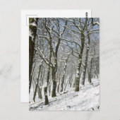 Macclesfield Forest Winter Card Postkarte (Vorne/Hinten)