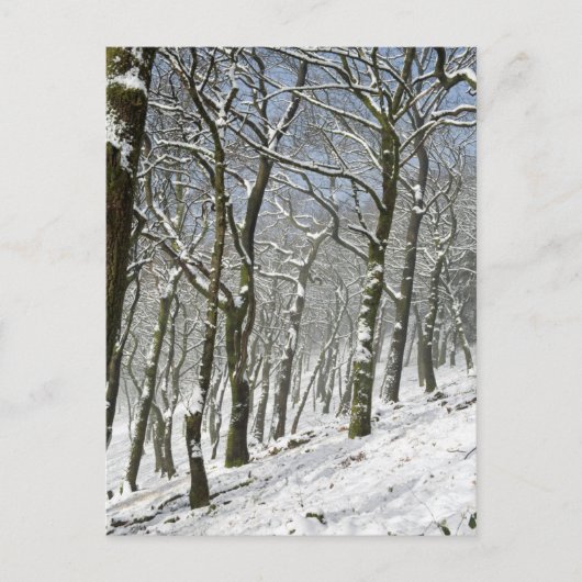 Macclesfield Forest Winter Card Postkarte (Vorderseite)