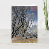 Macclesfield Forest Winter Karte (Vorderseite)