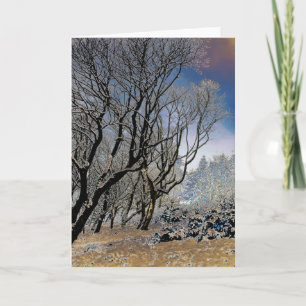 Macclesfield Forest Winter Karte