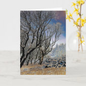 Macclesfield Forest Winter Karte (Gelbe Blume)