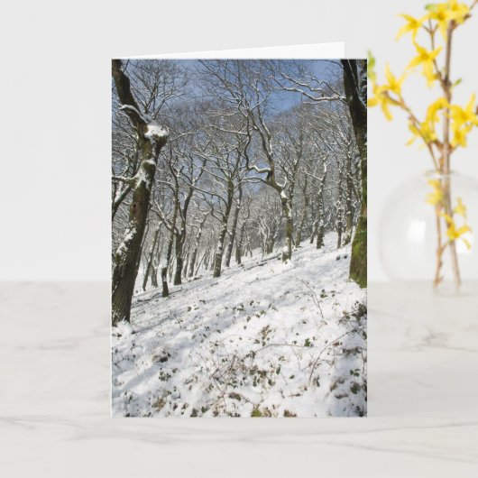 Macclesfield Forest Winter Karte (Gelbe Blume)