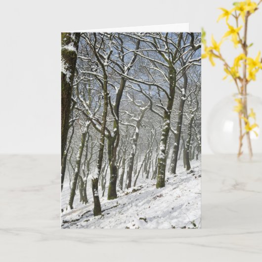 Macclesfield Forest Winter Karte (Gelbe Blume)