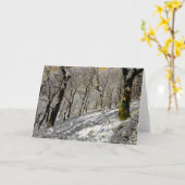 Macclesfield Forest Winter Karte (Gelbe Blume)