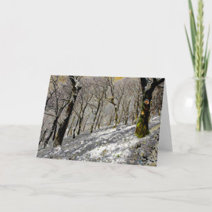Macclesfield Forest Winter Karte