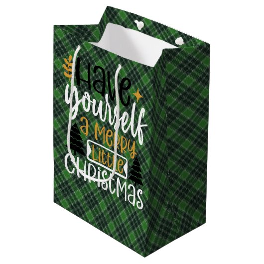 MacDonald Lord of the Isles Scottish Tartan Bag Mittlere Geschenktüte (Vorderseite Schrägansicht)