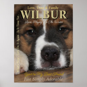 Mach dein Haustier zum Star, das sie sind -Magazin Poster