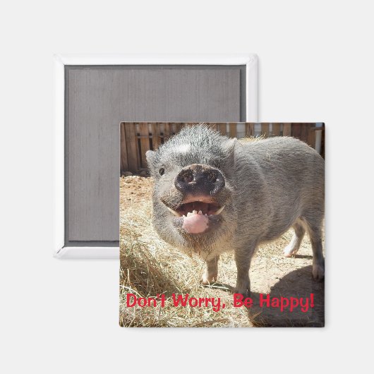 Mach dir keine Sorgen, sei glücklich, Pig Square M Magnet (Vorderseite/Rückseite)
