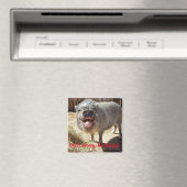 Mach dir keine Sorgen, sei glücklich, Pig Square M Magnet (In Situ (Geschirrspüler))