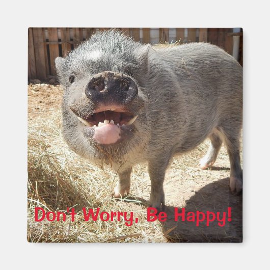 Mach dir keine Sorgen, sei glücklich, Pig Square M Magnet (Vorne)