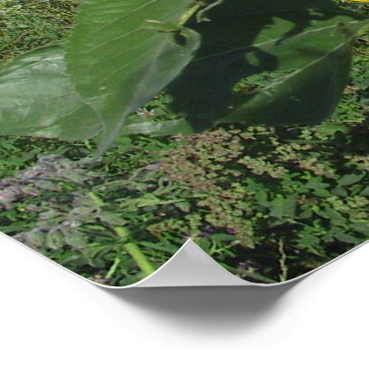 Mach dir keine Sorgen, sei glücklich Poster (Ecke)