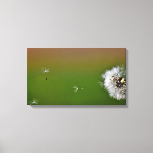 Mach einen Wunsch! Leinwanddruck (Vorderseite)