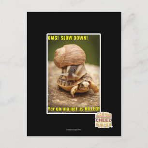 MACH! Langsam! Postkarte