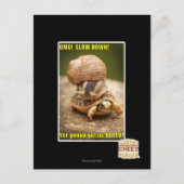 MACH! Langsam! Postkarte (Vorderseite)